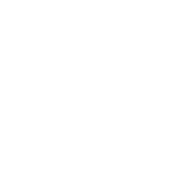 Ale Perez Logo